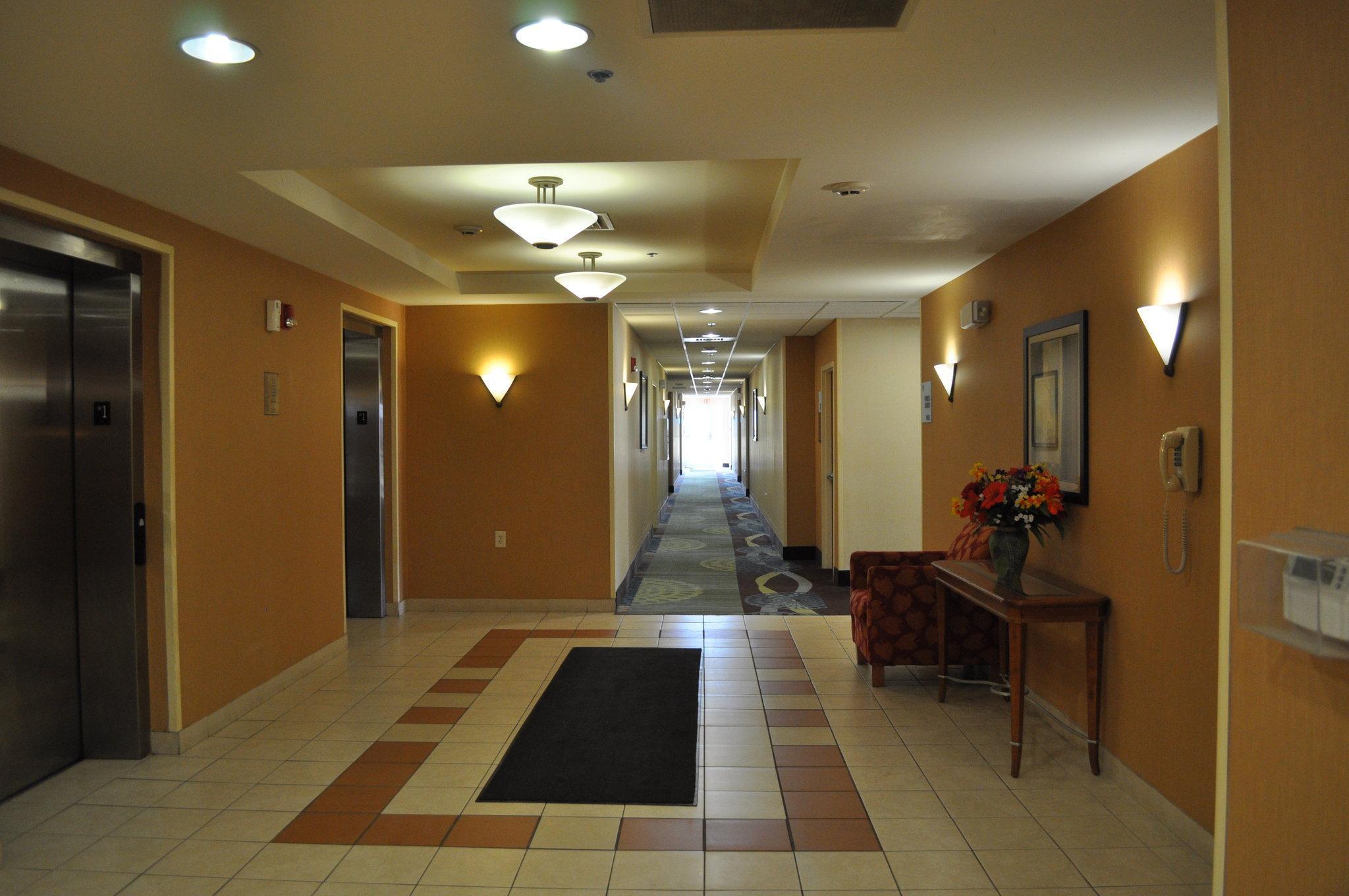 Holiday Inn Express Williamston By Ihg Exteriér fotografie